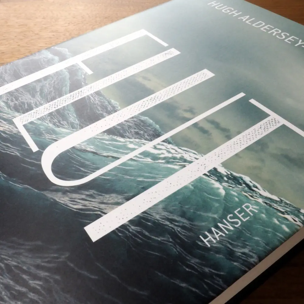 Bild: 9783446254978 | Flut | Das wilde Leben der Gezeiten | Hugh Aldersey-Williams | Buch