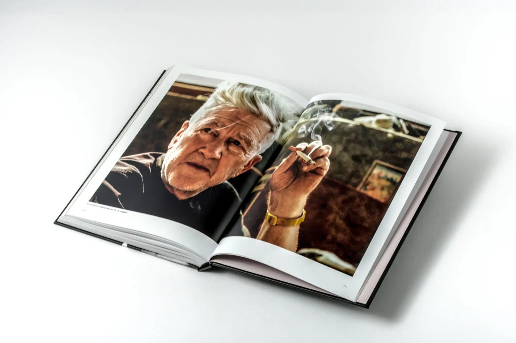 Bild: 9783791394978 | David Lynch - Das Gesamtkunstwerk | Thierry Jousse | Buch | 240 S.