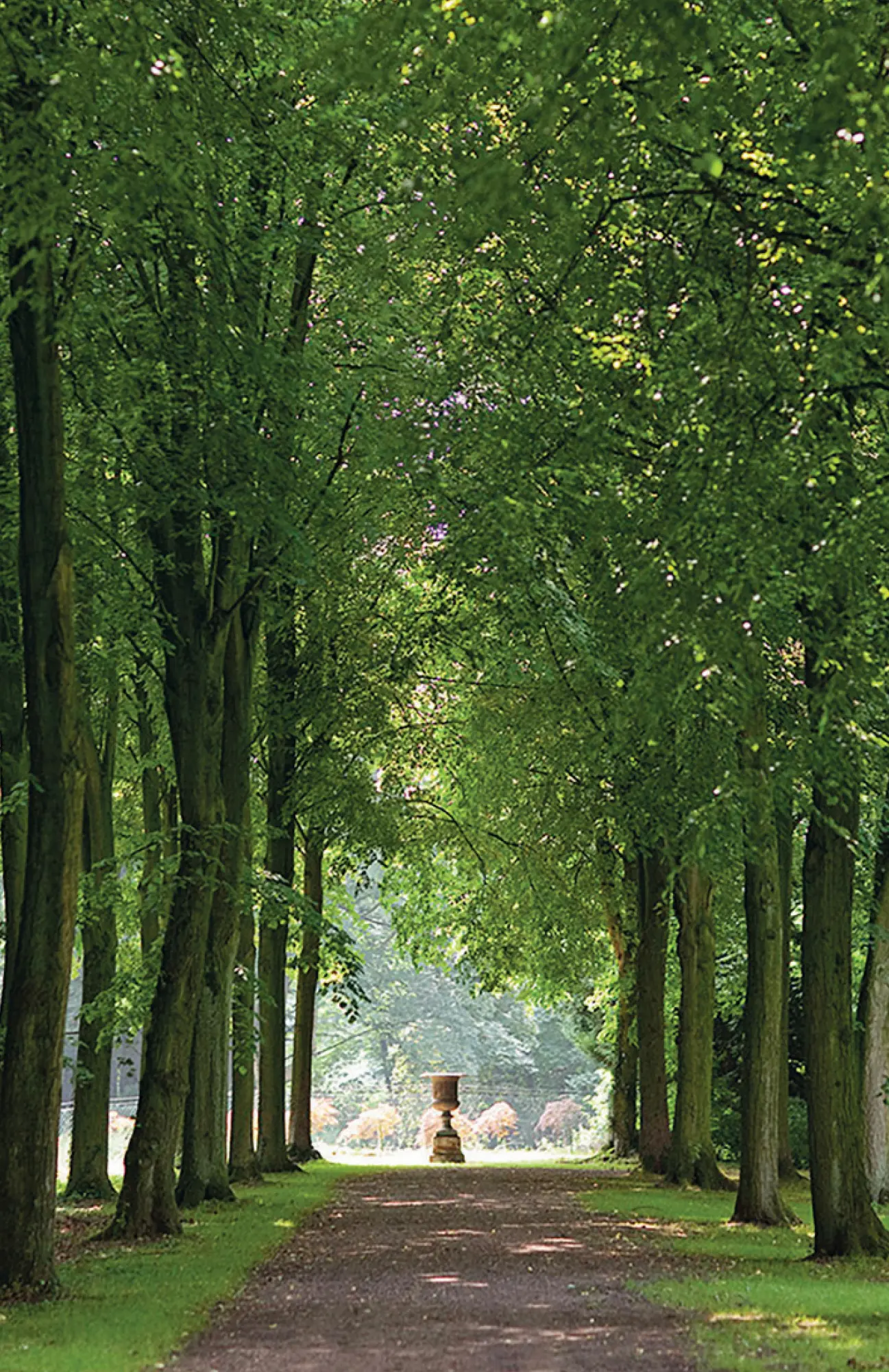 Rückseite: 9783458645078 | In einem fremden Park | Gartengedichte Einmalige Sonderausgabe | Rilke