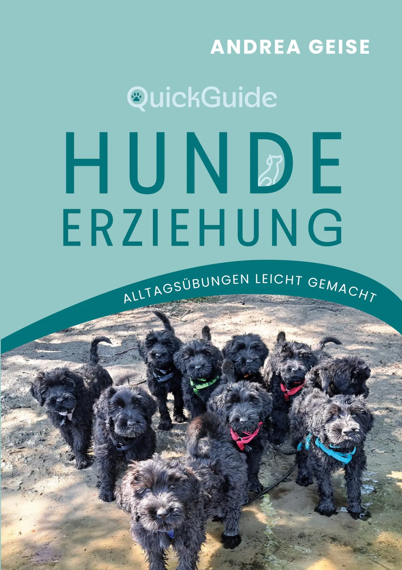 Cover: 9783819235078 | QuickGuide Hundeerziehung | Alltagsübungen leicht gemacht | Geise
