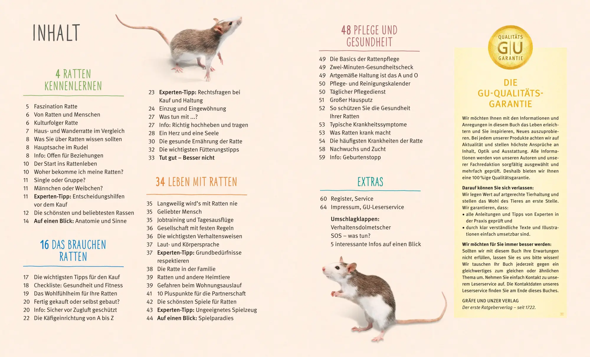Bild: 9783833855078 | Ratten | So fühlen sich die Kletterkünstler rundum wohl | Gerd Ludwig