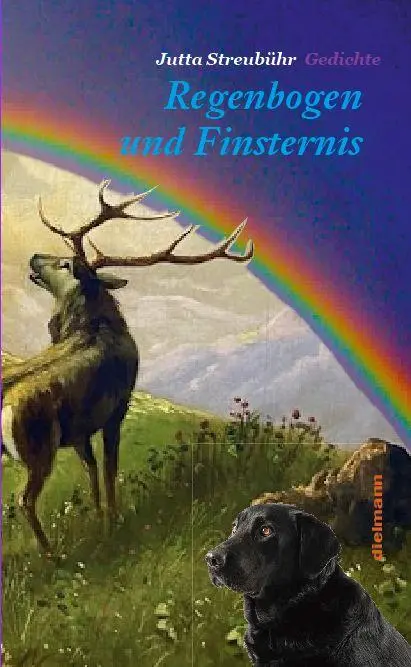 Cover: 9783866385078 | Regenbogen und Finsternis | Gedichte | Jutta Streubühr (u. a.) | Buch