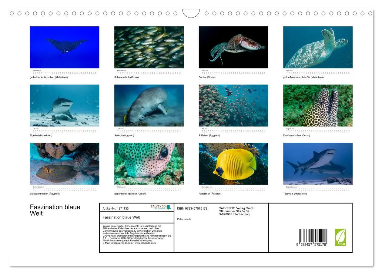 Bild: 9783457575178 | Faszination blaue Welt (Wandkalender 2026 DIN A3 quer), CALVENDO...