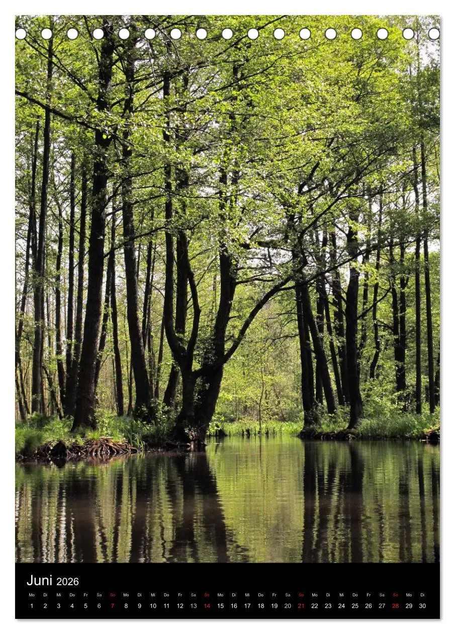 Bild: 9783516425178 | Land Brandenburg im Wechsel der Jahreszeiten (Tischkalender 2026...