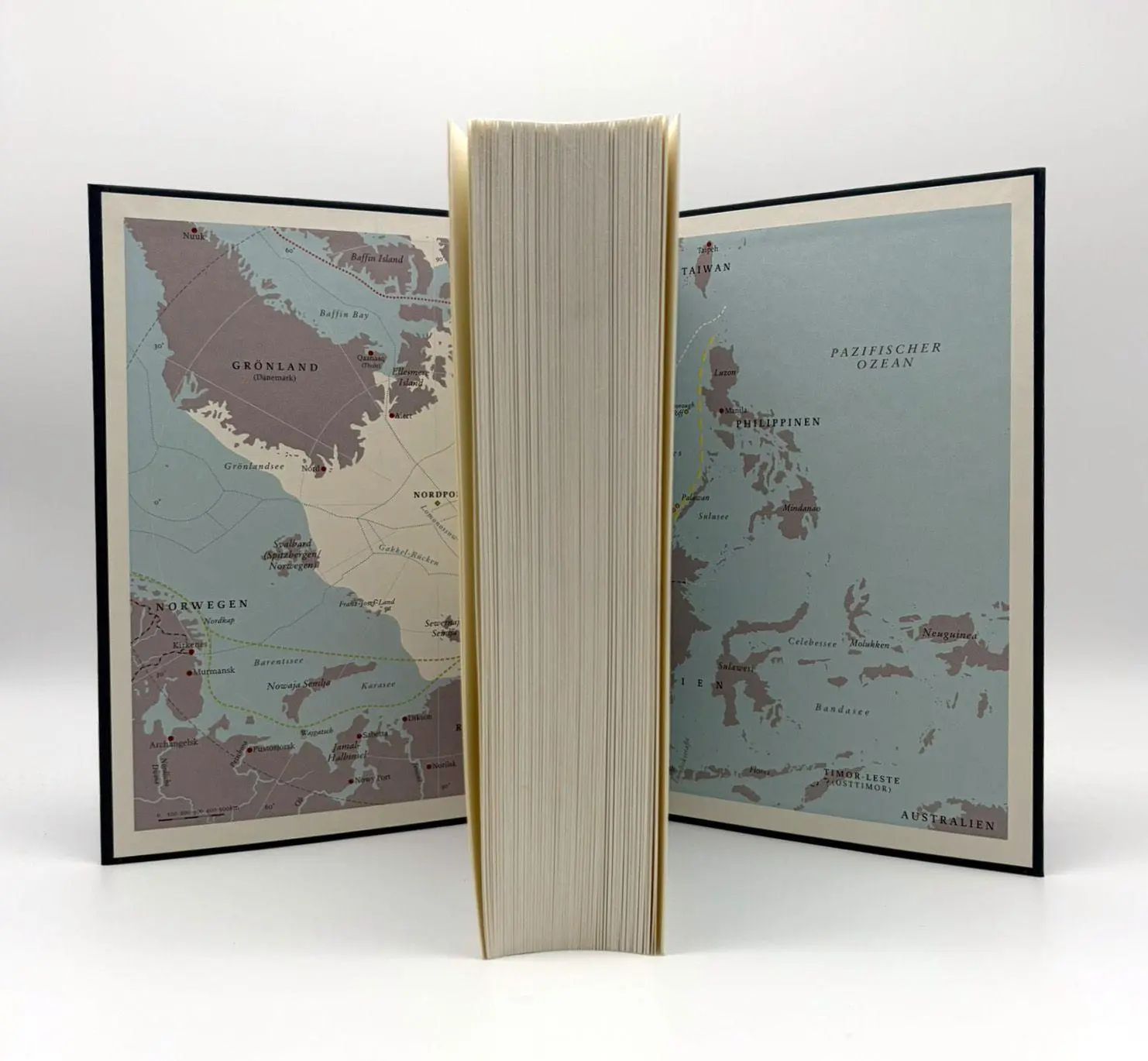 Bild: 9783423285278 | Szenario | Florence Gaub | Buch | 512 S. | Deutsch | 2025