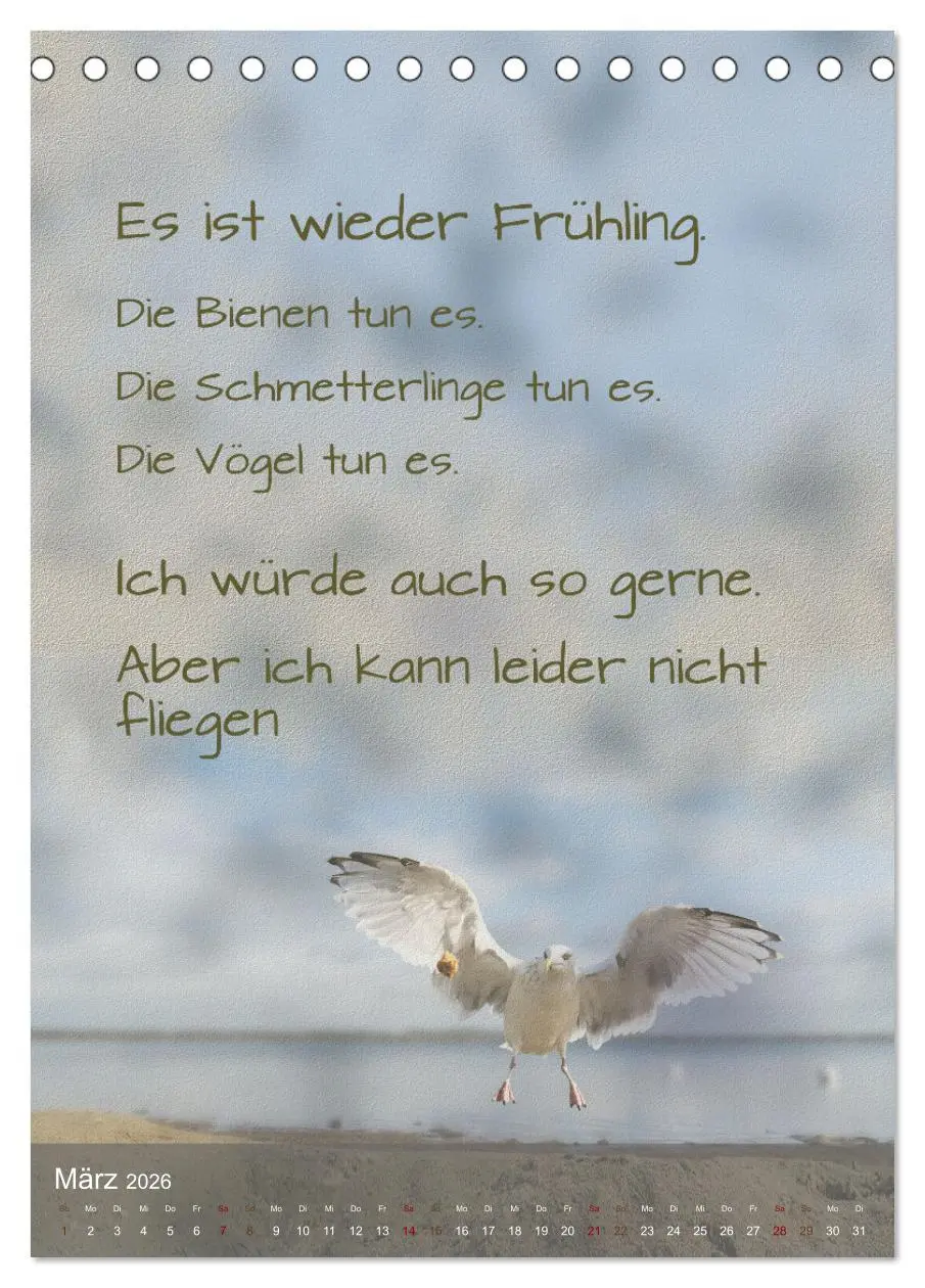 Bild: 9783516345278 | Heute ist ein guter Tag (Tischkalender 2026 DIN A5 hoch), CALVENDO...