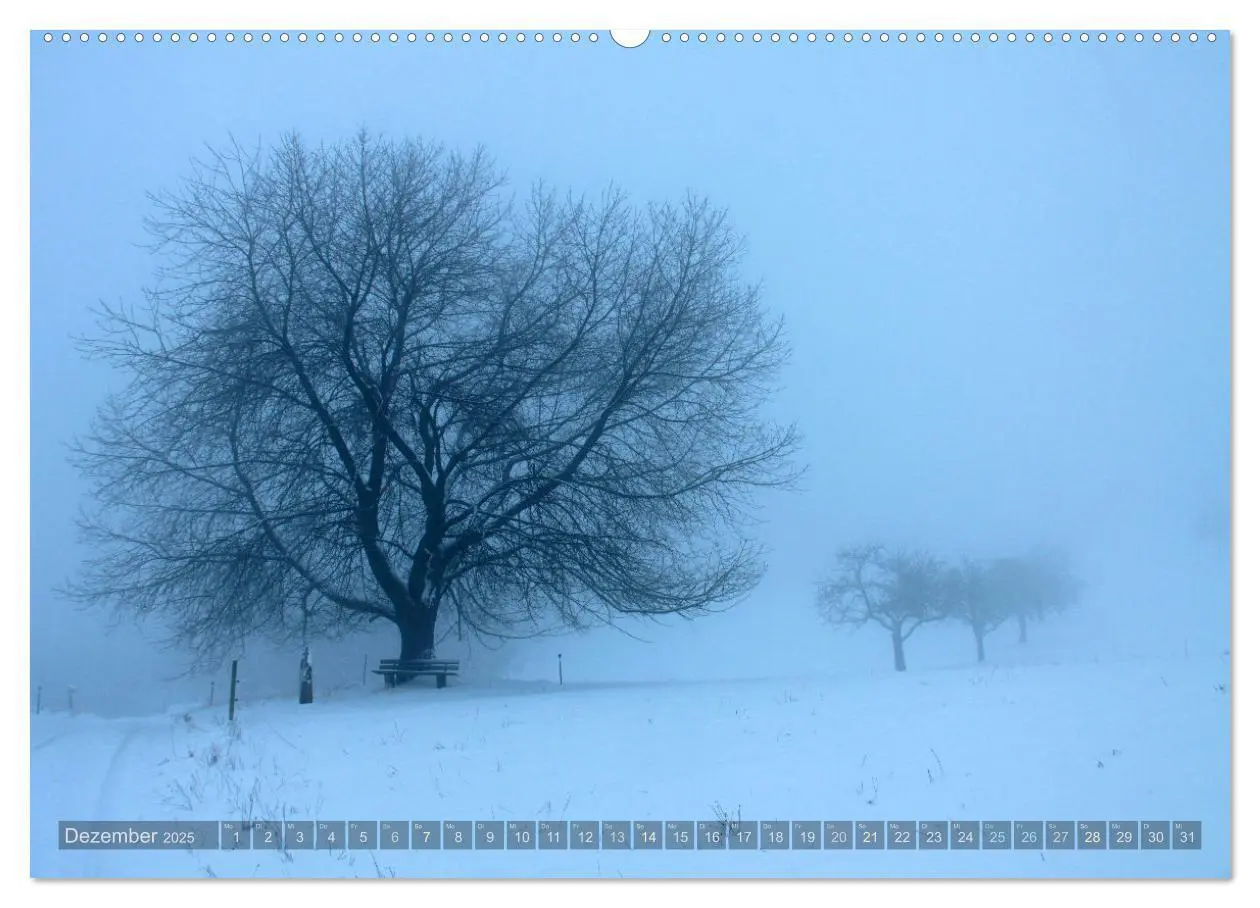 Bild: 9783383995378 | Wanderbares Miltenberg (Wandkalender 2025 DIN A2 quer), CALVENDO...