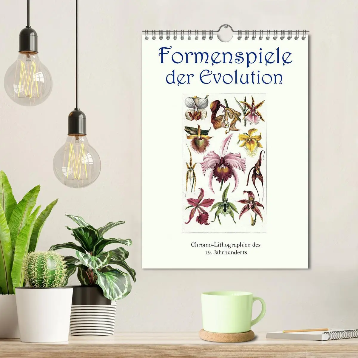 Bild: 9783516405378 | Formenspiele der Evolution. Chromolithographien des 19....