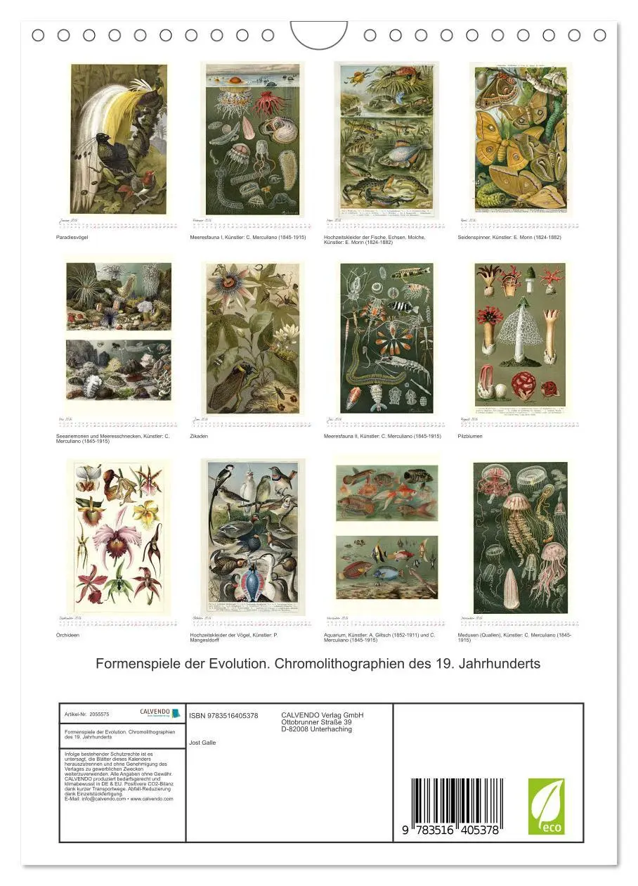 Bild: 9783516405378 | Formenspiele der Evolution. Chromolithographien des 19....