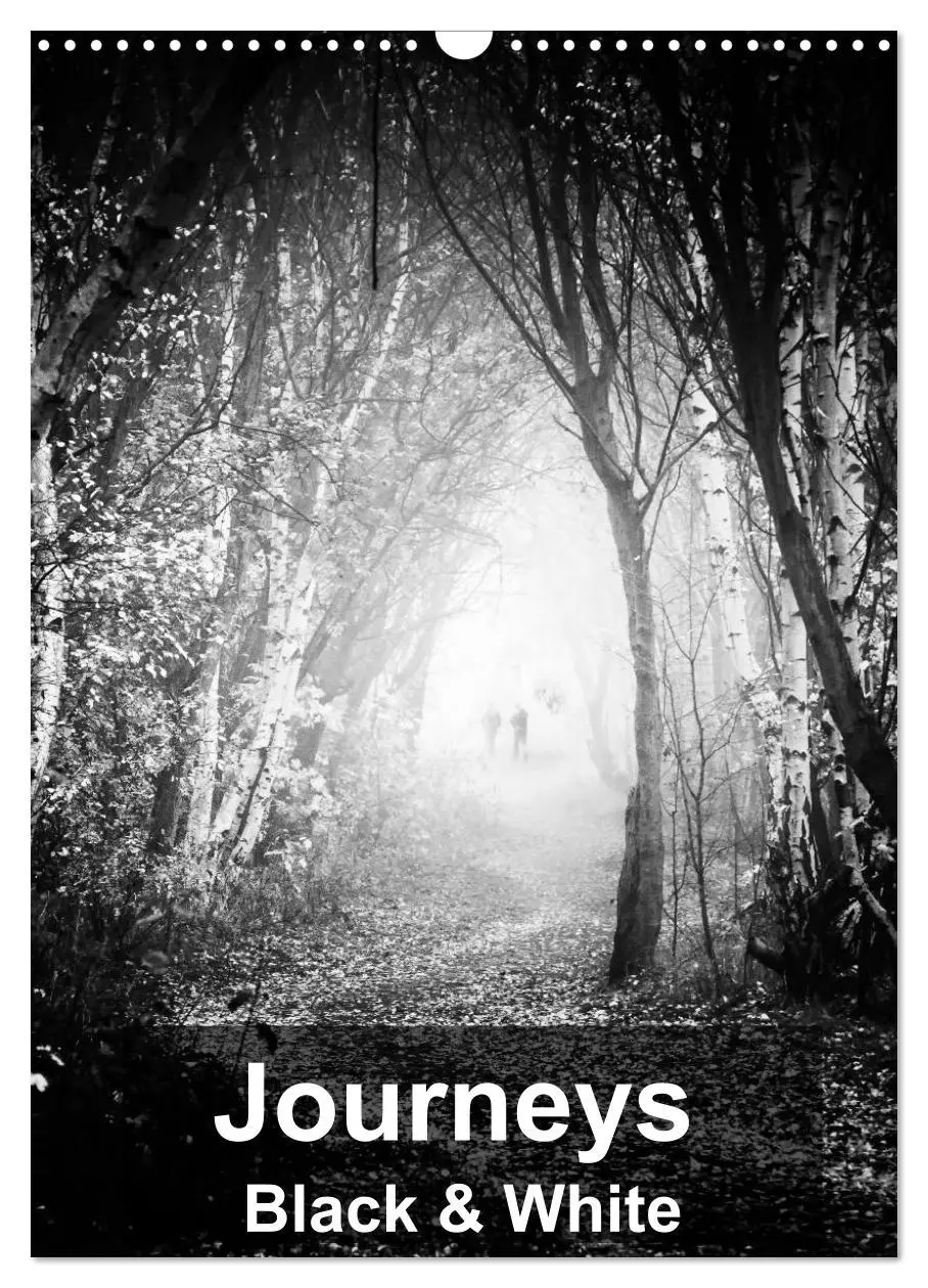 Cover: 9783516575378 | Journeys - Black &amp; White (Wall Calendar 2026 DIN A3 portrait),...