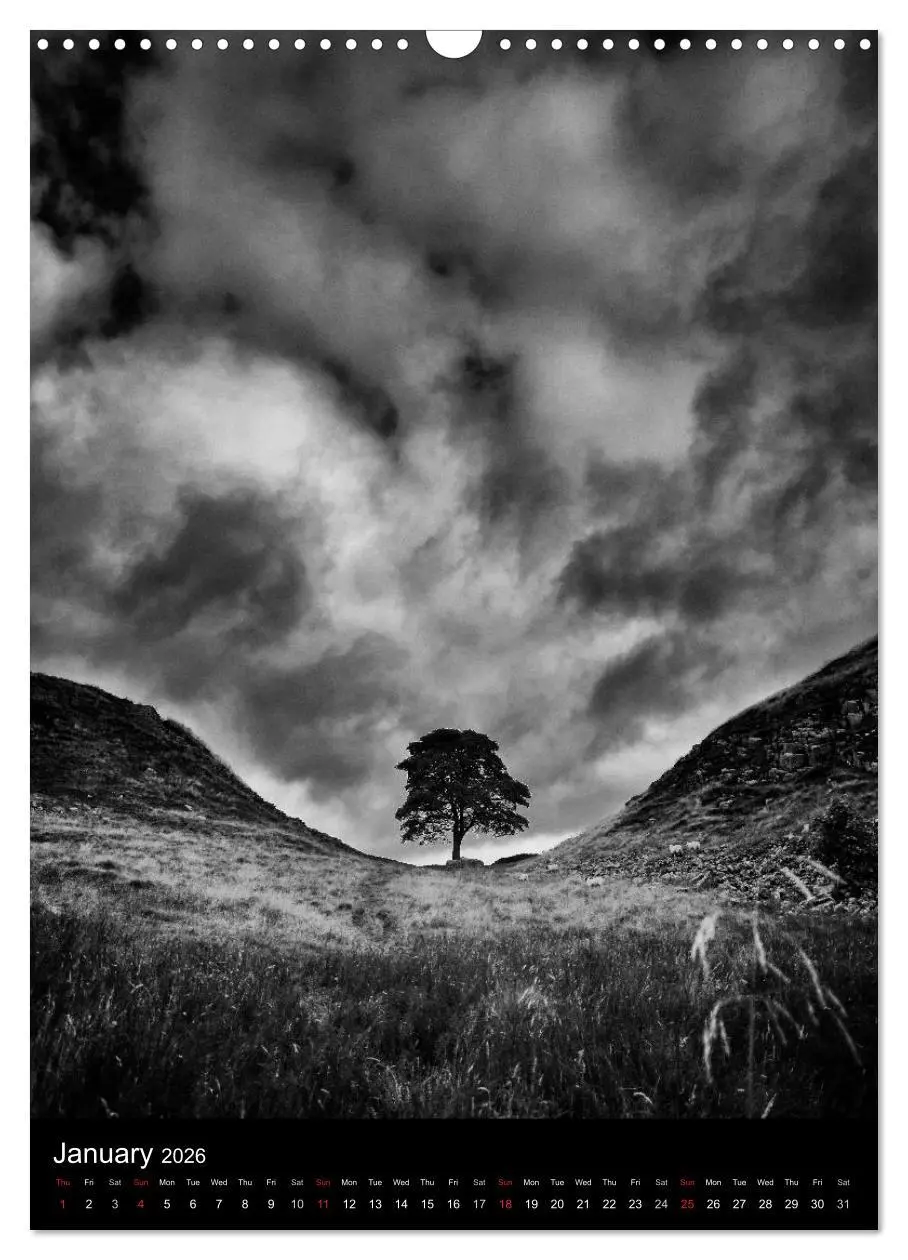 Bild: 9783516575378 | Journeys - Black &amp; White (Wall Calendar 2026 DIN A3 portrait),...