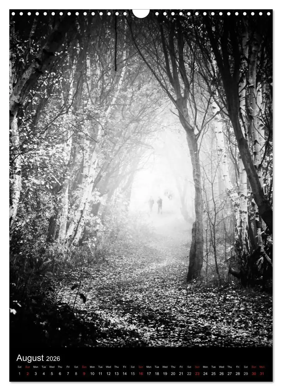 Bild: 9783516575378 | Journeys - Black &amp; White (Wall Calendar 2026 DIN A3 portrait),...