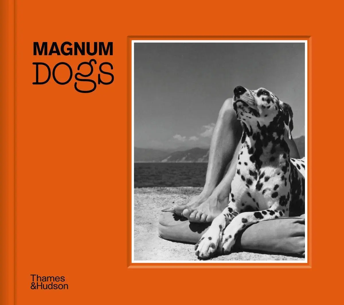 Cover: 9780500545478 | Magnum Dogs | Magnum Photos | Buch | Gebunden | Englisch | 2021
