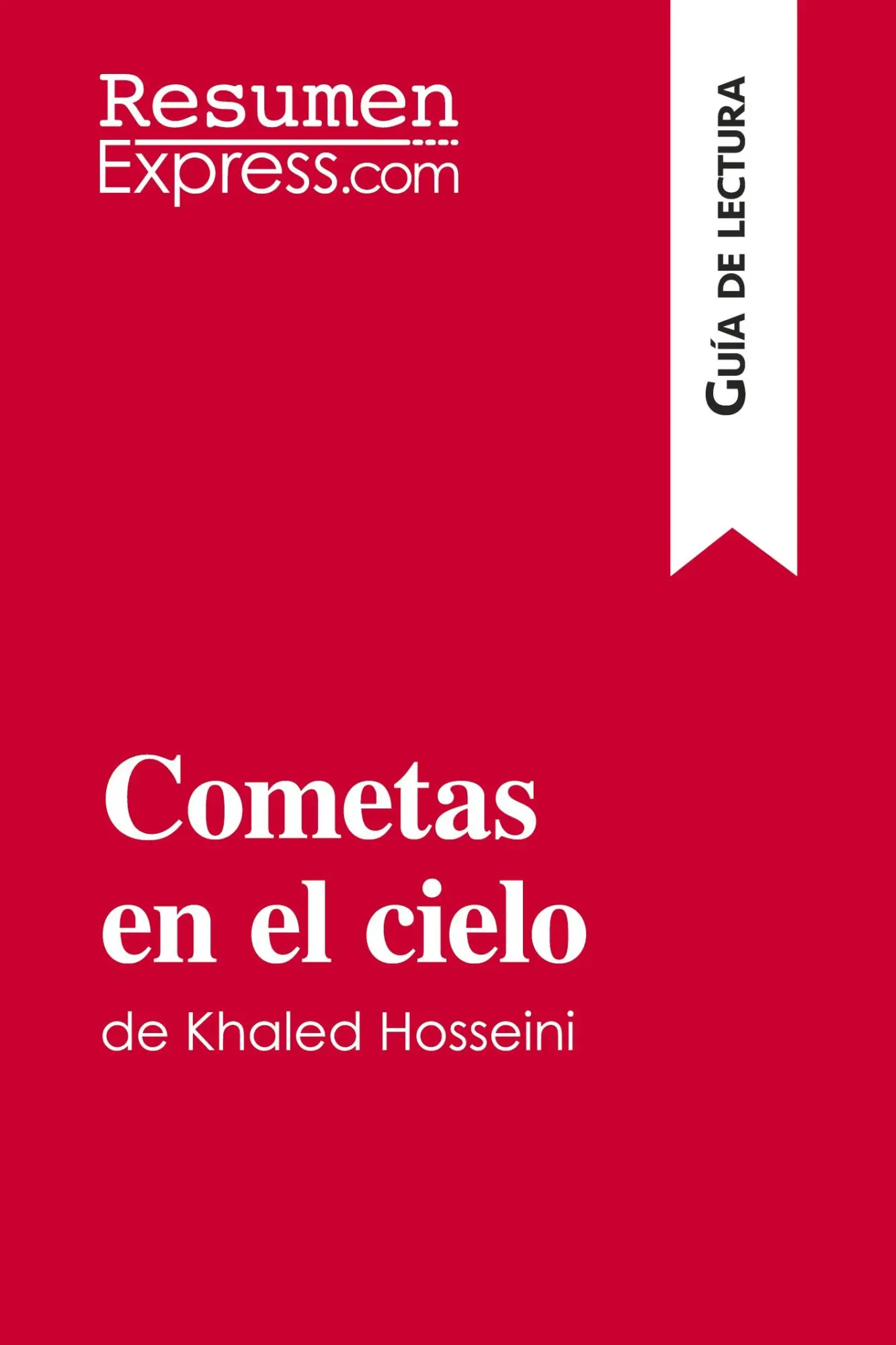 Cover: 9782806285478 | Cometas en el cielo de Khaled Hosseini (Guía de lectura) | Perrel