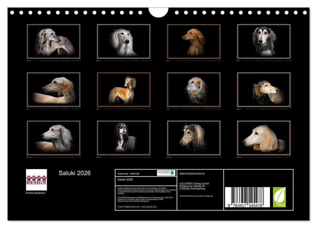 Bild: 9783457545478 | Saluki 2026 (Wandkalender 2026 DIN A4 quer), CALVENDO Monatskalender