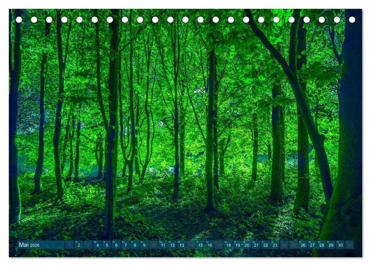 Bild: 9783457785478 | Bielefeld - Der Obersee - unendliche Motive... (Tischkalender 2026...