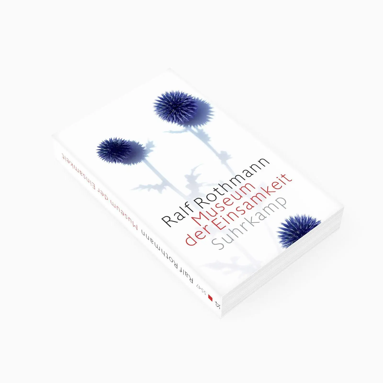 Bild: 9783518475478 | Museum der Einsamkeit | Erzählungen | Ralf Rothmann | Taschenbuch