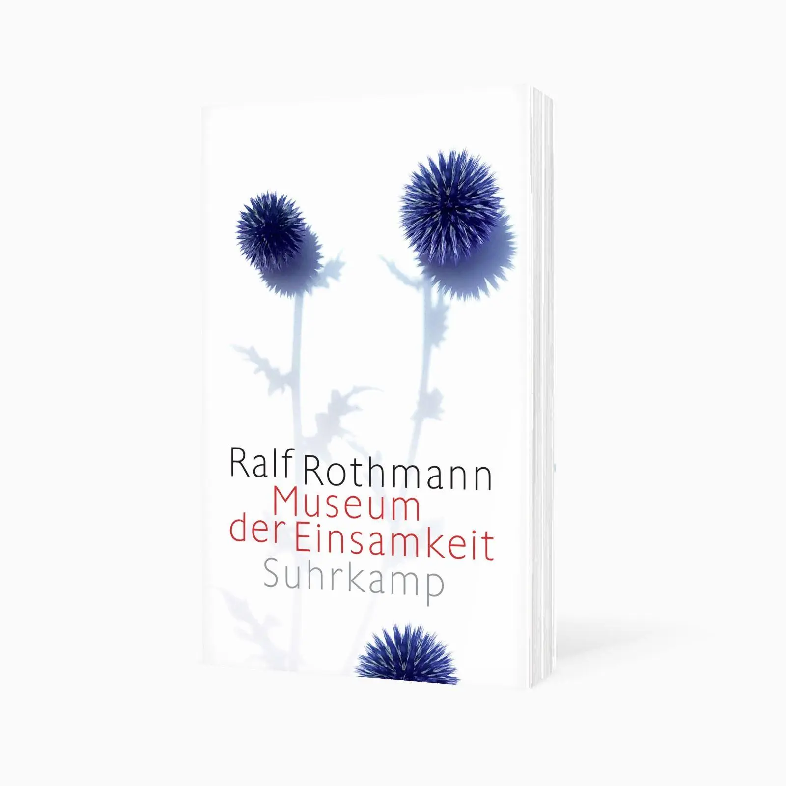 Bild: 9783518475478 | Museum der Einsamkeit | Erzählungen | Ralf Rothmann | Taschenbuch