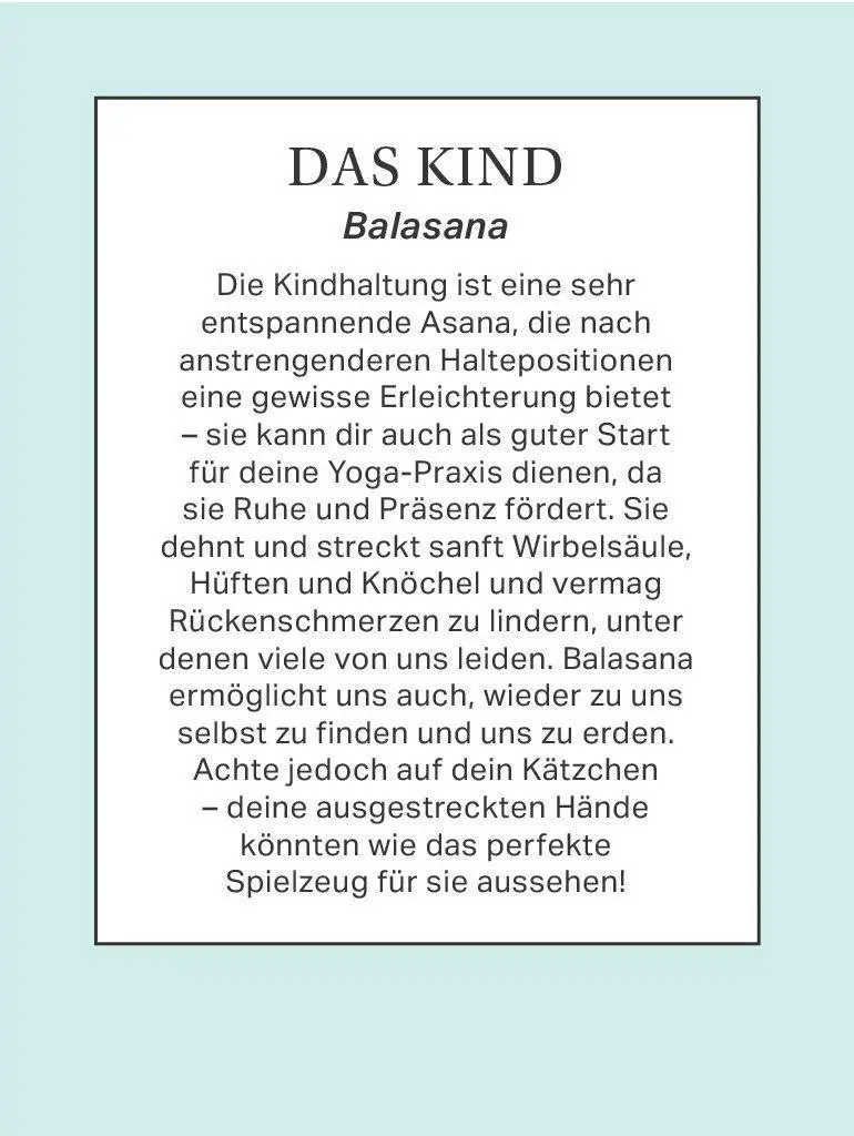 Bild: 9783962445478 | Yoga mit Katze | Sam Hart | Spiel | 52 S. | Deutsch | 2026