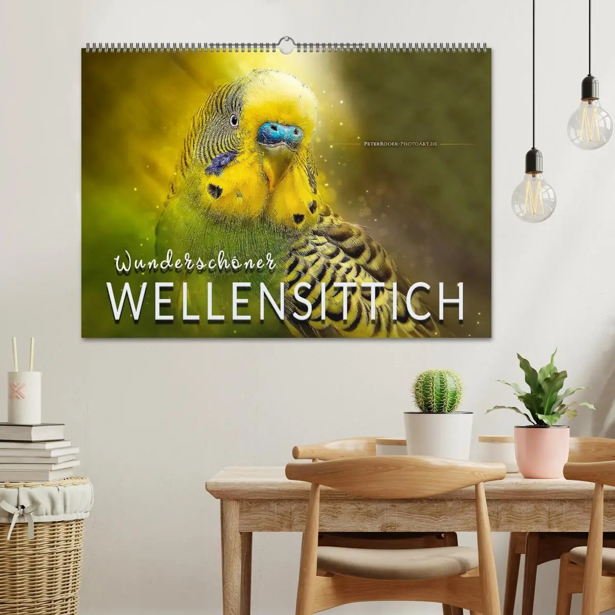 Bild: 9783457845578 | Wunderschöner Wellensittich (Wandkalender 2026 DIN A2 quer),...