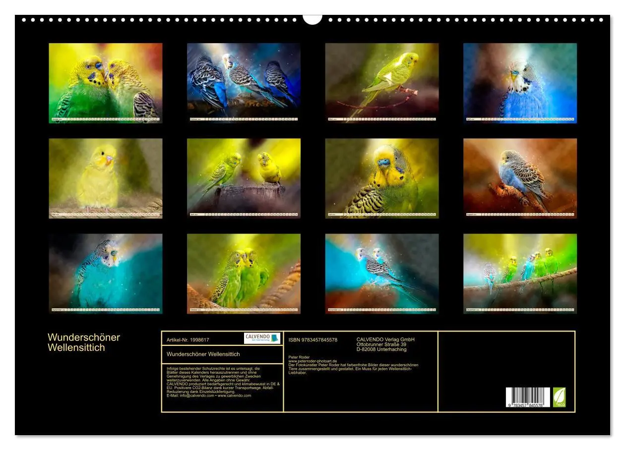 Bild: 9783457845578 | Wunderschöner Wellensittich (Wandkalender 2026 DIN A2 quer),...