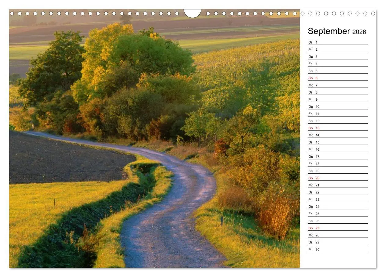 Bild: 9783516005578 | DER STEIGERWALD - Impressionen einer Landschaft (Wandkalender 2026...