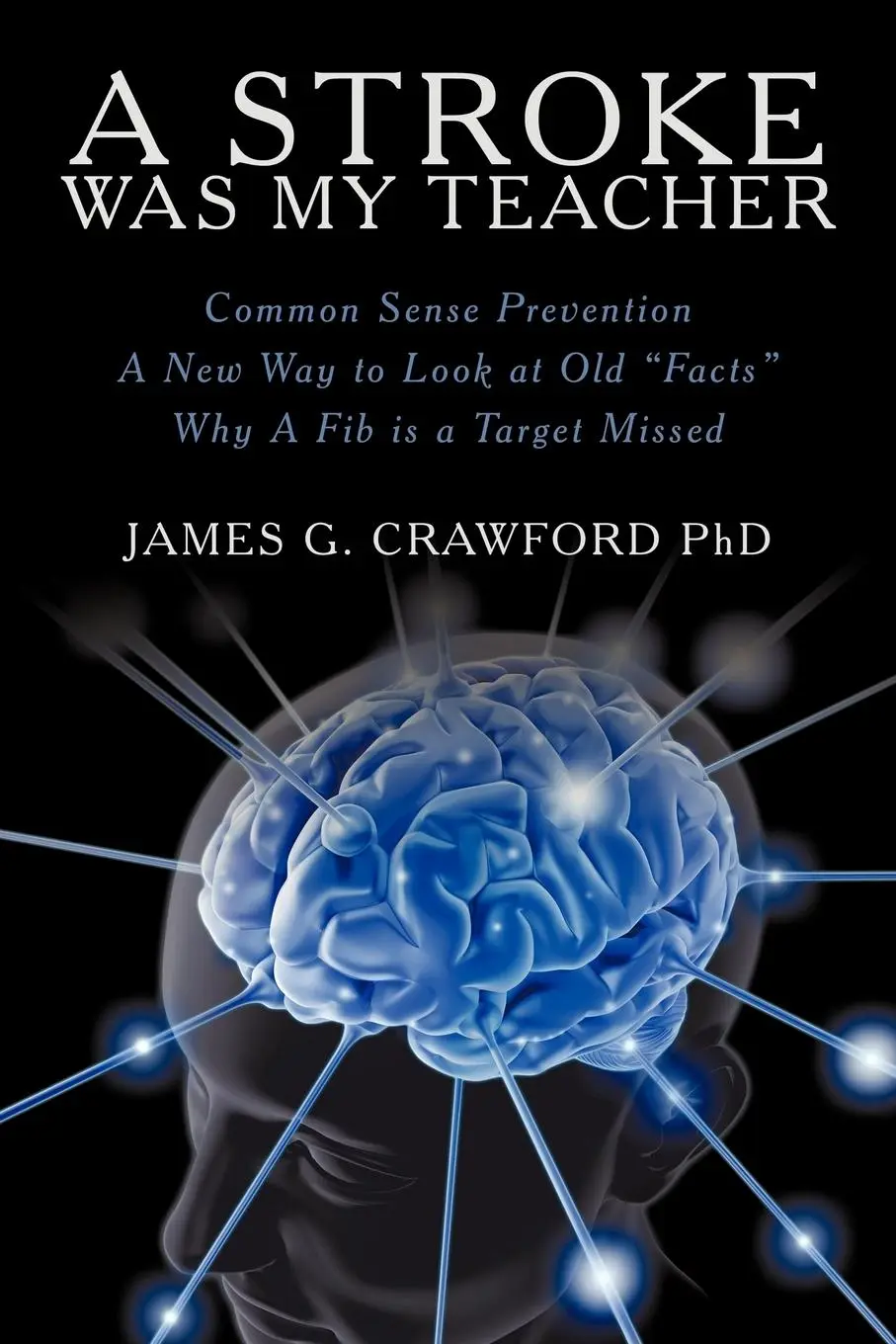Cover: 9781452535678 | A Stroke Was My Teacher | James G. Crawford | Taschenbuch | Englisch