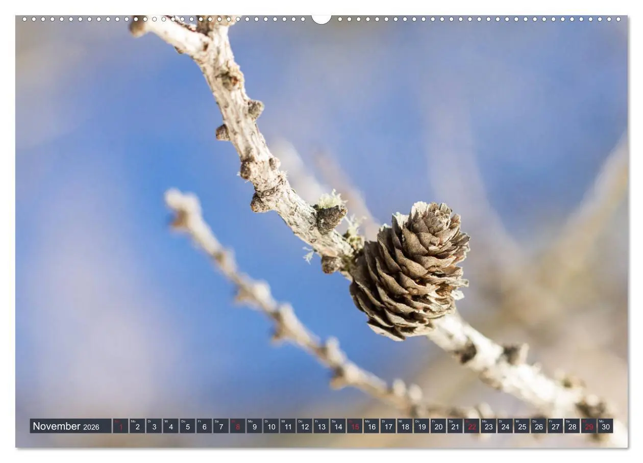 Bild: 9783457905678 | Die Natur hautnah (Wandkalender 2026 DIN A2 quer), CALVENDO...