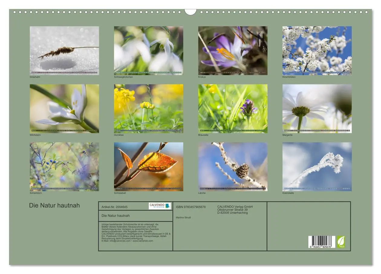Bild: 9783457905678 | Die Natur hautnah (Wandkalender 2026 DIN A2 quer), CALVENDO...