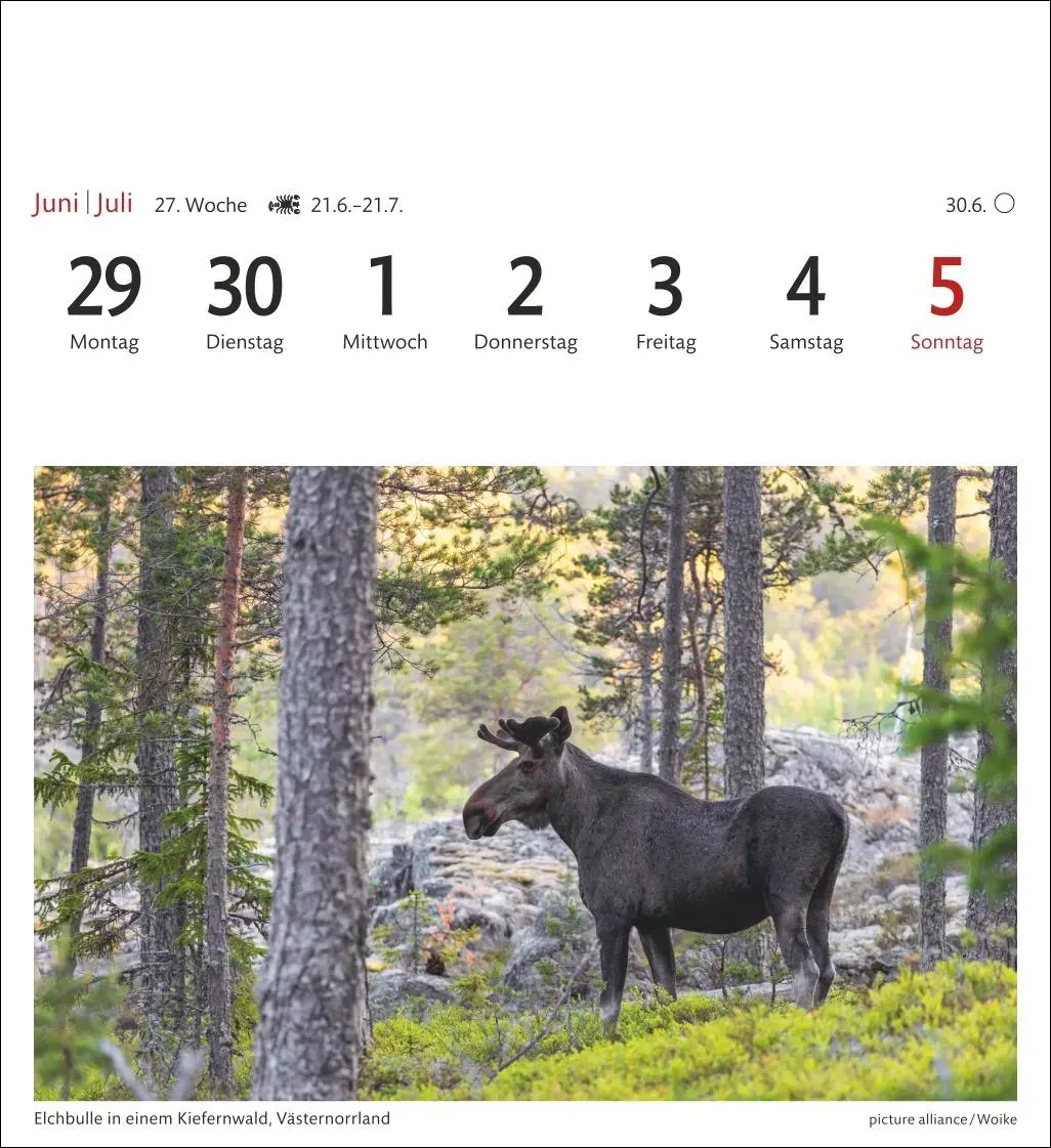 Bild: 9783840035678 | Schweden Sehnsuchtskalender 2026 - Wochenkalender mit 53 Postkarten