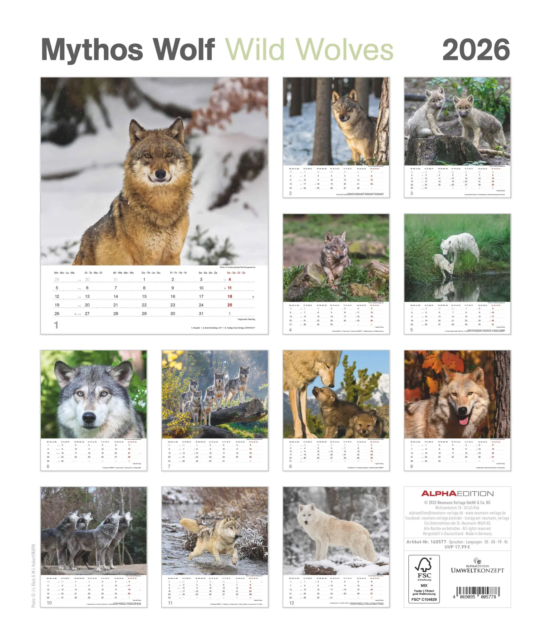 Rückseite: 4069095005778 | Mythos Wolf 2026 - Foto-Kalender - Wand-Kalender - 30x34 | Wild Wolves