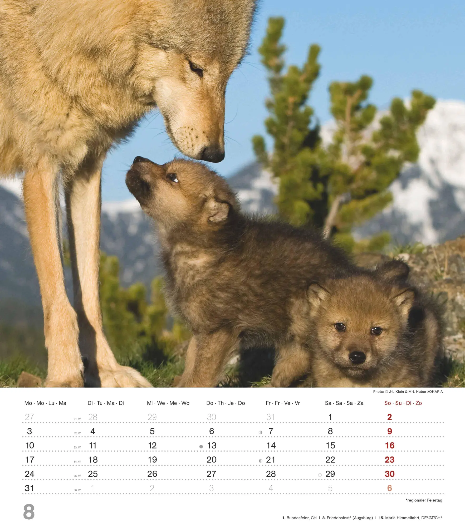 Bild: 4069095005778 | Mythos Wolf 2026 - Foto-Kalender - Wand-Kalender - 30x34 | Wild Wolves