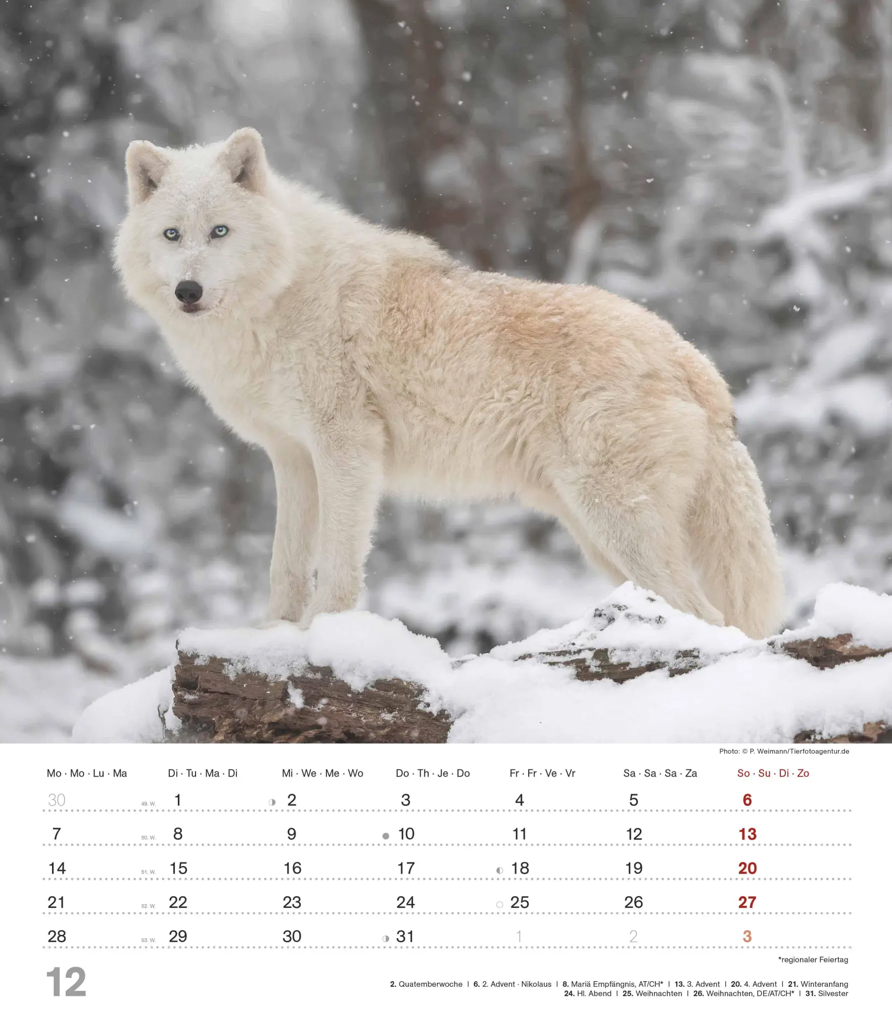 Bild: 4069095005778 | Mythos Wolf 2026 - Foto-Kalender - Wand-Kalender - 30x34 | Wild Wolves