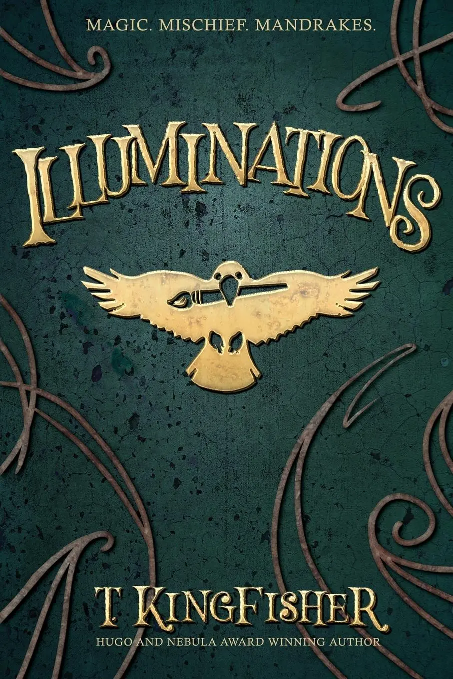 Cover: 9781614505778 | Illuminations | T. Kingfisher | Taschenbuch | Kartoniert / Broschiert