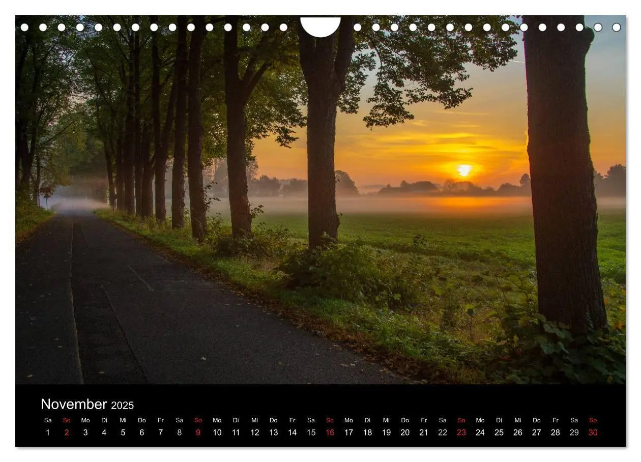 Bild: 9783435665778 | Meerbusch. Meerer Busch (Wandkalender 2025 DIN A4 quer), CALVENDO...