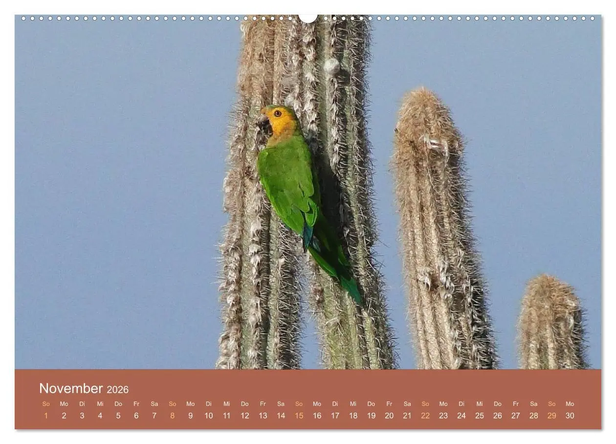 Bild: 9783516085778 | ABC: Aruba - Bonaire - Curaçao (hochwertiger Premium Wandkalender...
