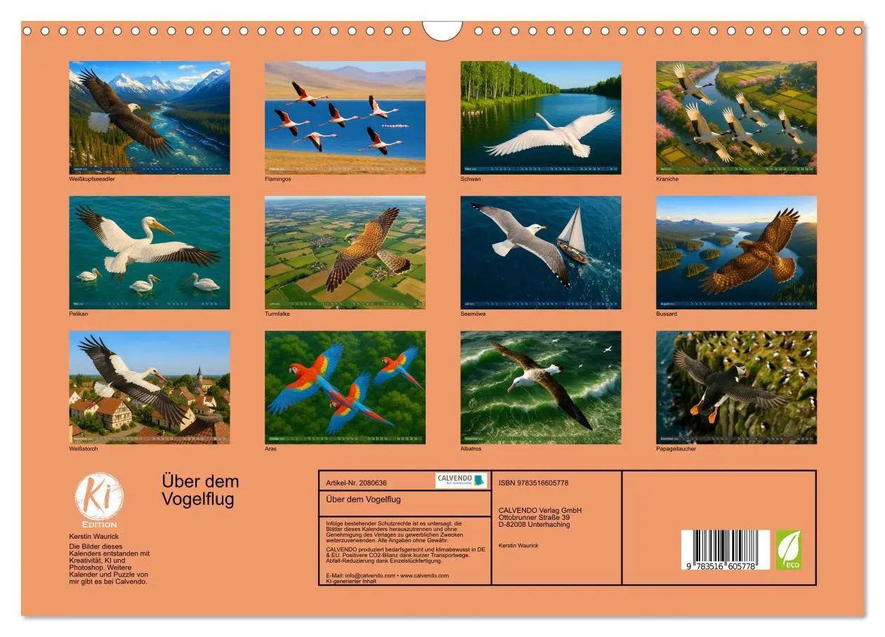 Bild: 9783516605778 | Über dem Vogelflug (Wandkalender 2026 DIN A3 quer), CALVENDO...