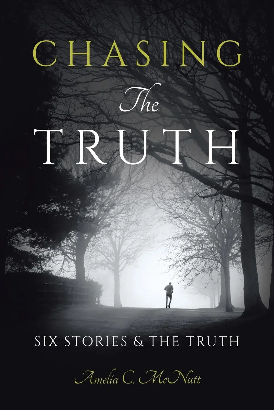 Cover: 9781665775878 | Chasing The Truth | SIX STORIES &amp; THE TRUTH | Amelia C. McNutt | Buch