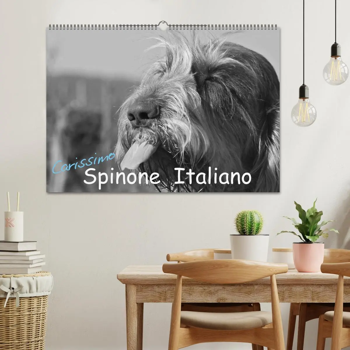 Bild: 9783516075878 | Carissimo Spinone Italiano (Wandkalender 2026 DIN A2 quer),...