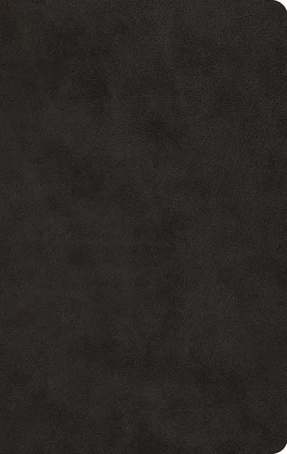 Cover: 9781433555978 | ESV Large Print Value Thinline Bible (Trutone, Black) | Spck | Buch