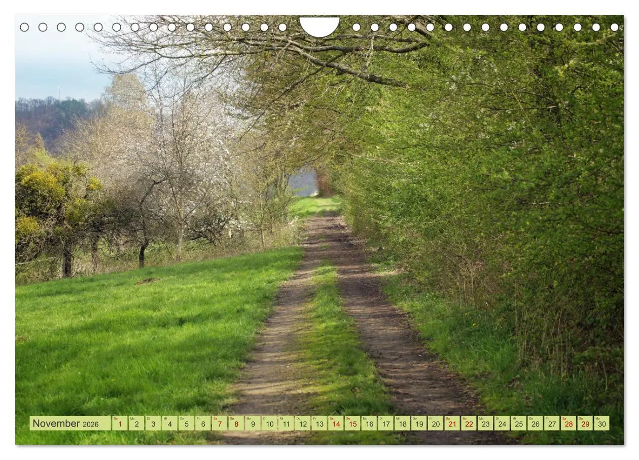Bild: 9783457355978 | Alles im grünen Bereich (Wandkalender 2026 DIN A4 quer), CALVENDO...