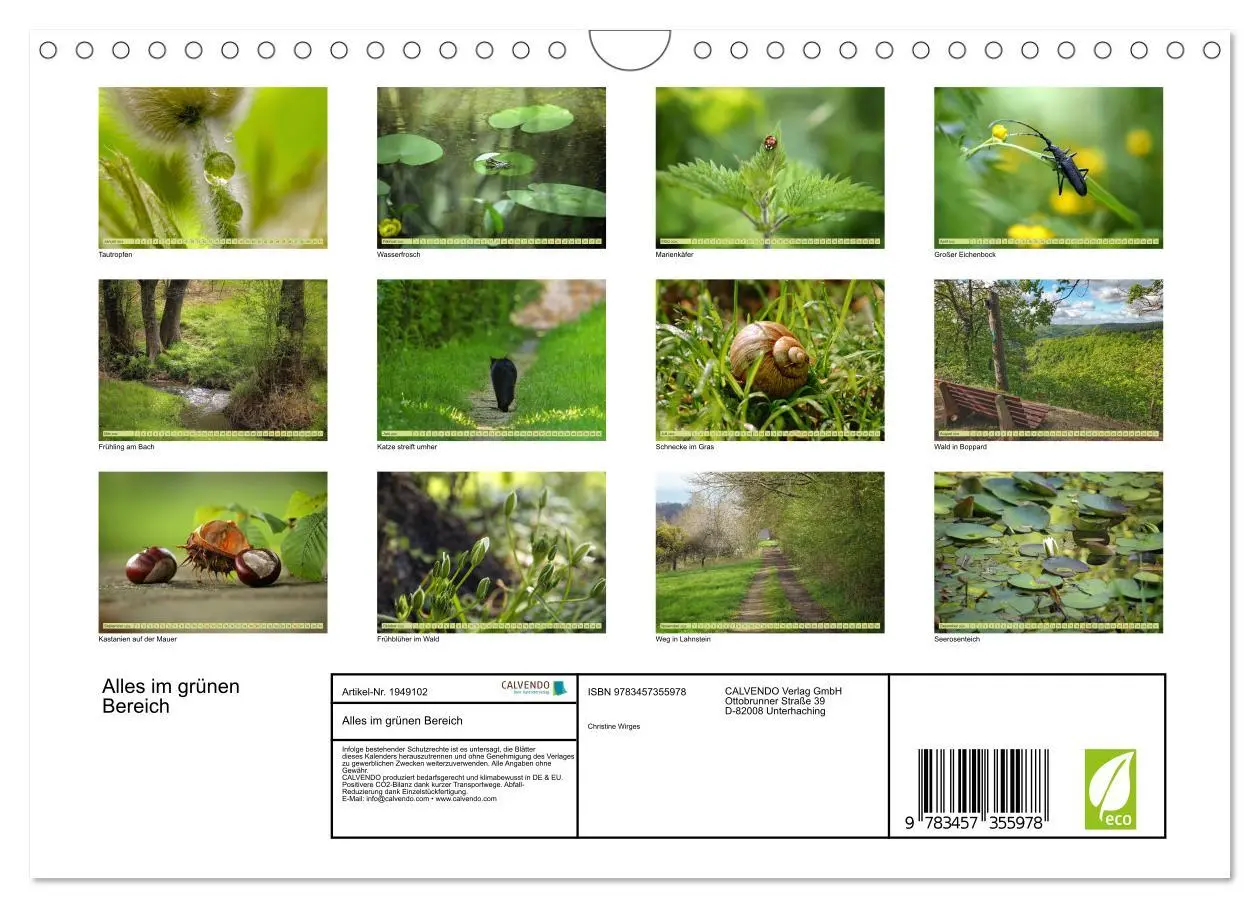Bild: 9783457355978 | Alles im grünen Bereich (Wandkalender 2026 DIN A4 quer), CALVENDO...