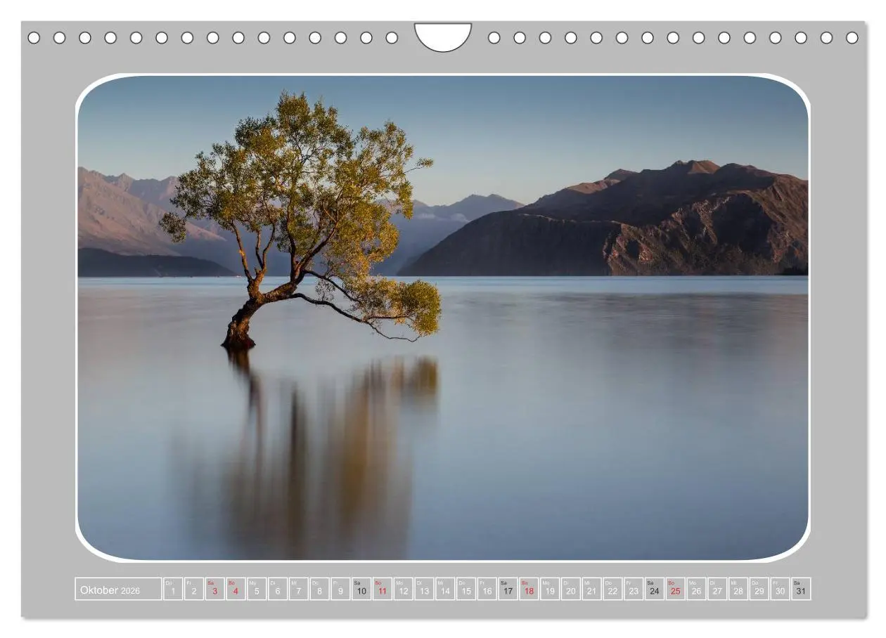 Bild: 9783516065978 | Neuseeland - Die Südinsel (Wandkalender 2026 DIN A4 quer), CALVENDO...