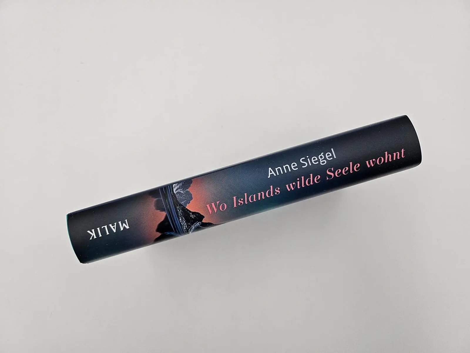 Bild: 9783890295978 | Wo Islands wilde Seele wohnt | Anne Siegel | Buch | 256 S. | Deutsch