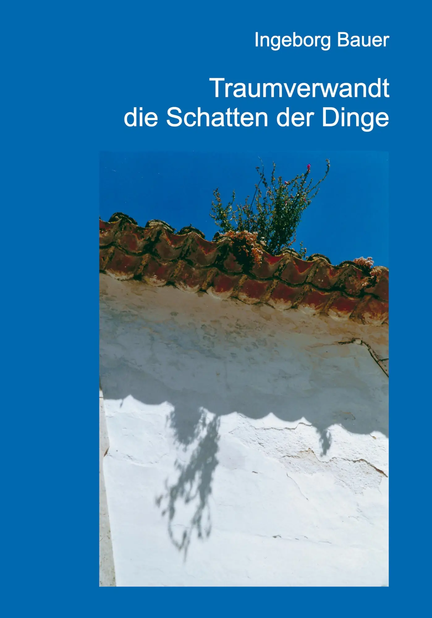 Traumverwandt die Schatten der Dinge