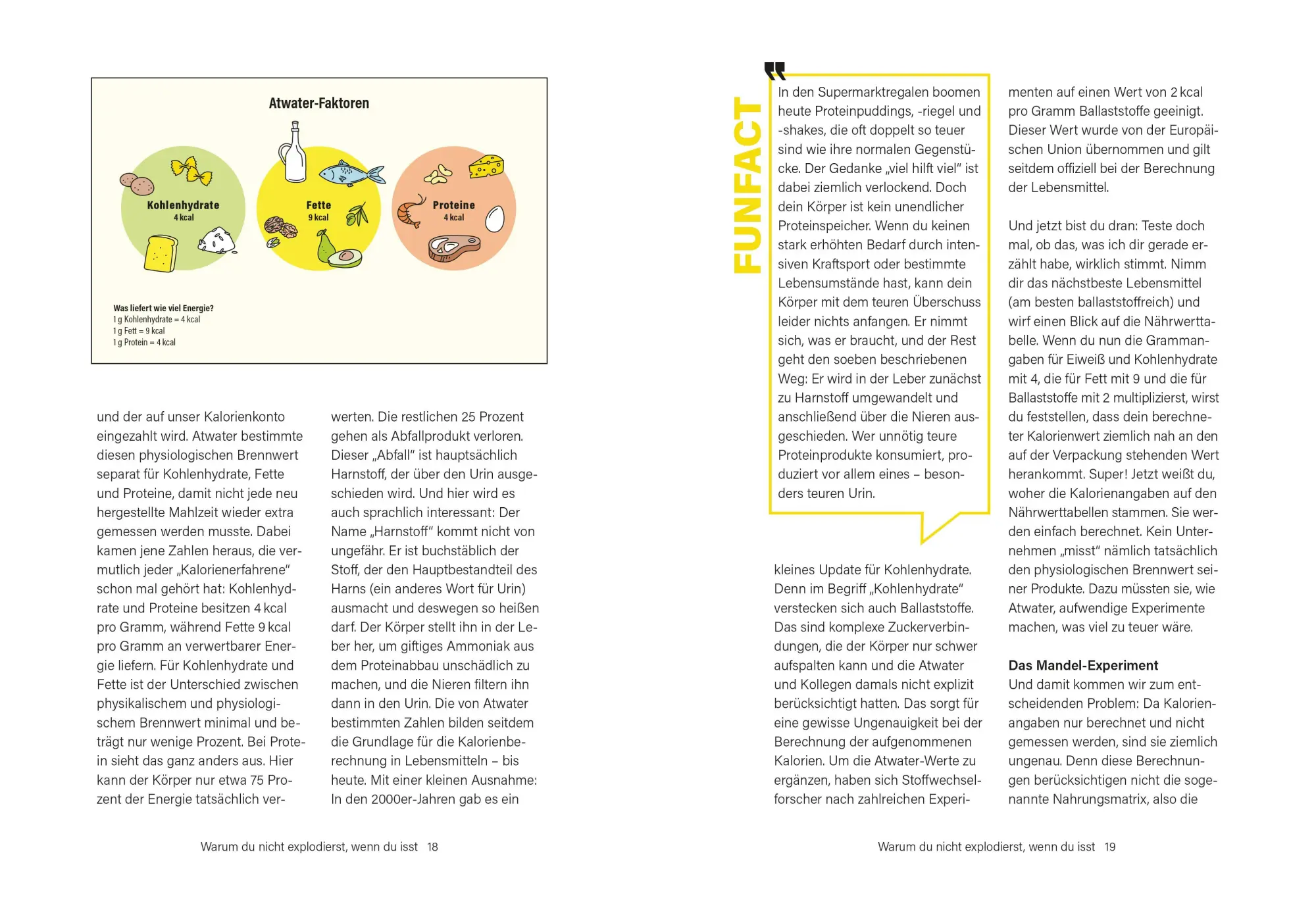 Bild: 9783965845978 | Das Kuchen-Paradox | Tim Hollstein | Taschenbuch | 192 S. | Deutsch