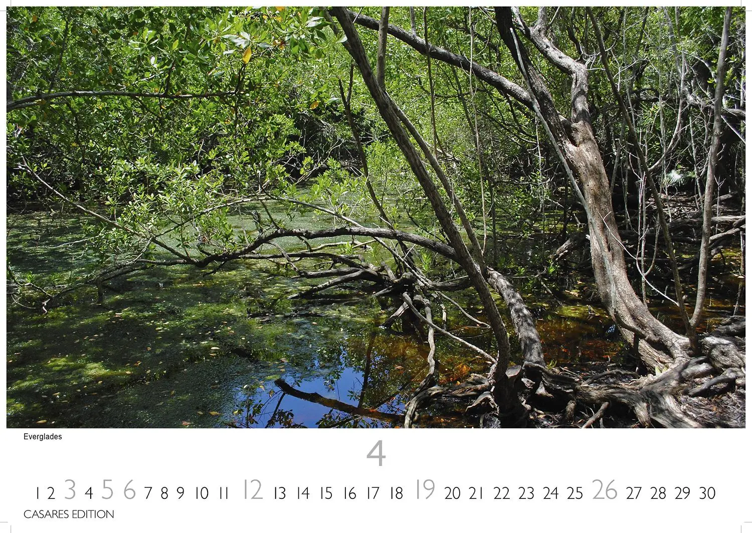 Bild: 9781835246078 | Florida 2026 S 24x35cm | Kalender | 14 S. | Deutsch | 2026