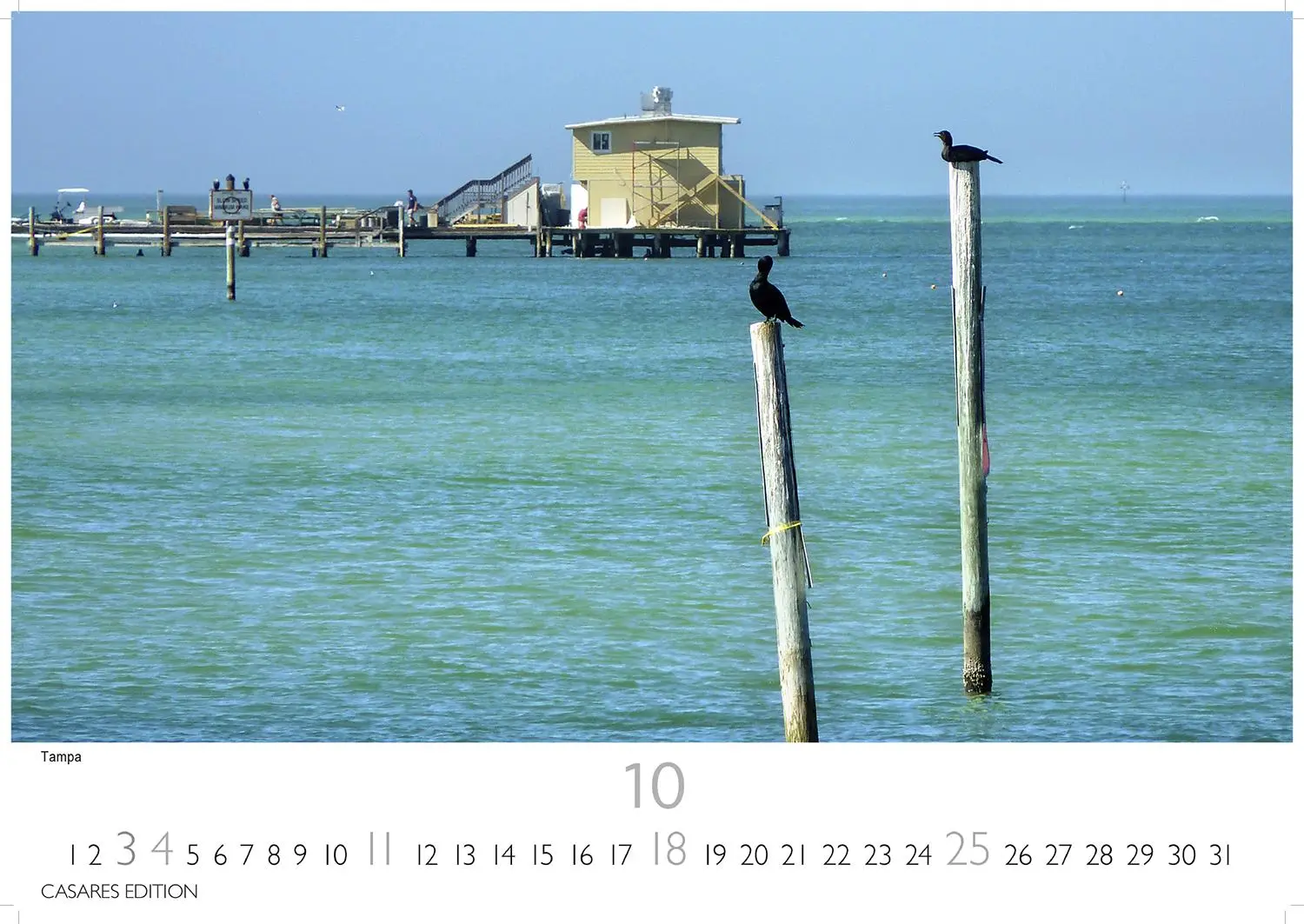 Bild: 9781835246078 | Florida 2026 S 24x35cm | Kalender | 14 S. | Deutsch | 2026