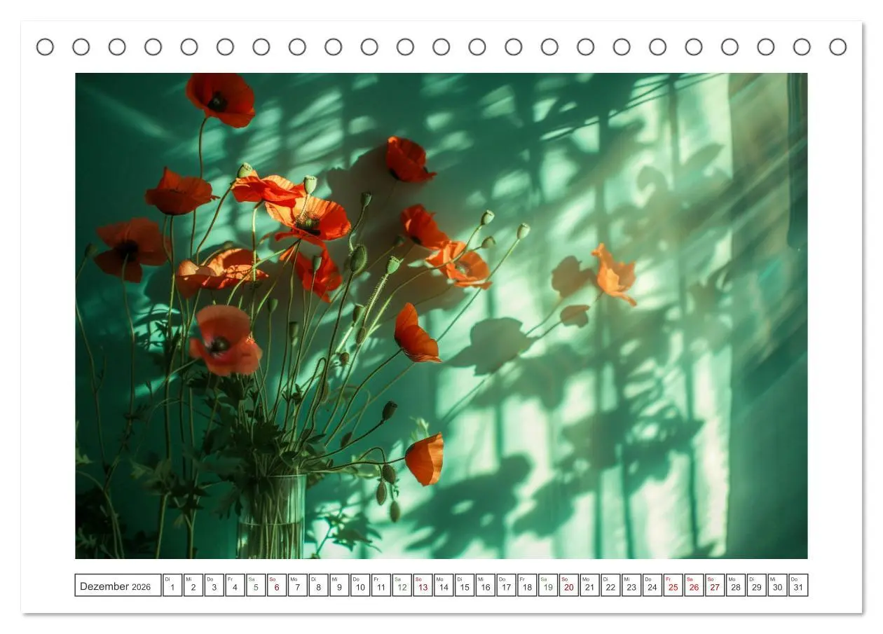 Bild: 9783457306178 | Mohnträume im Licht (Tischkalender 2026 DIN A5 quer), CALVENDO...