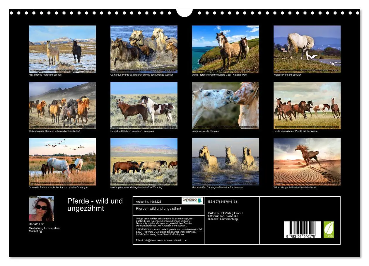 Bild: 9783457546178 | Pferde - wild und ungezähmt (Wandkalender 2026 DIN A3 quer),...